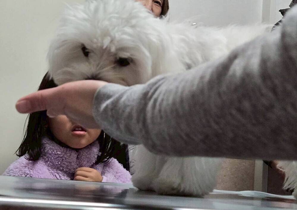 １２月のパピークラス♪